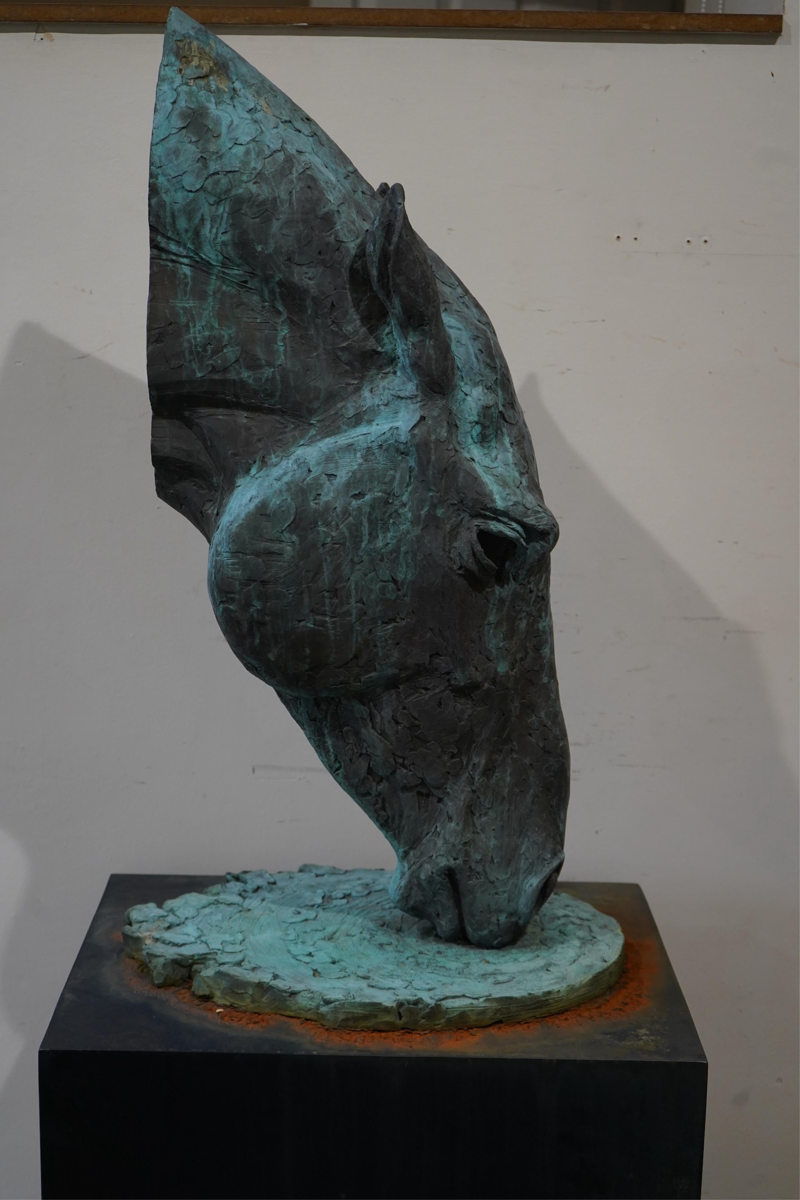 Lucy Kinsella, (b. 1960), 'Drinking Horse'